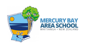 Mercury Bay Area School水星湾地区学校