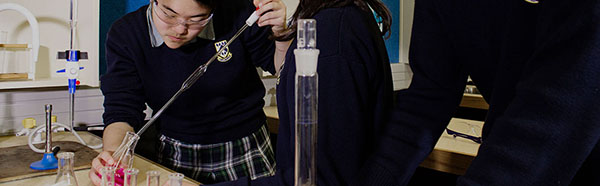 Hillcrest High School汉密尔顿中学