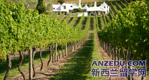 新西兰园艺研究生